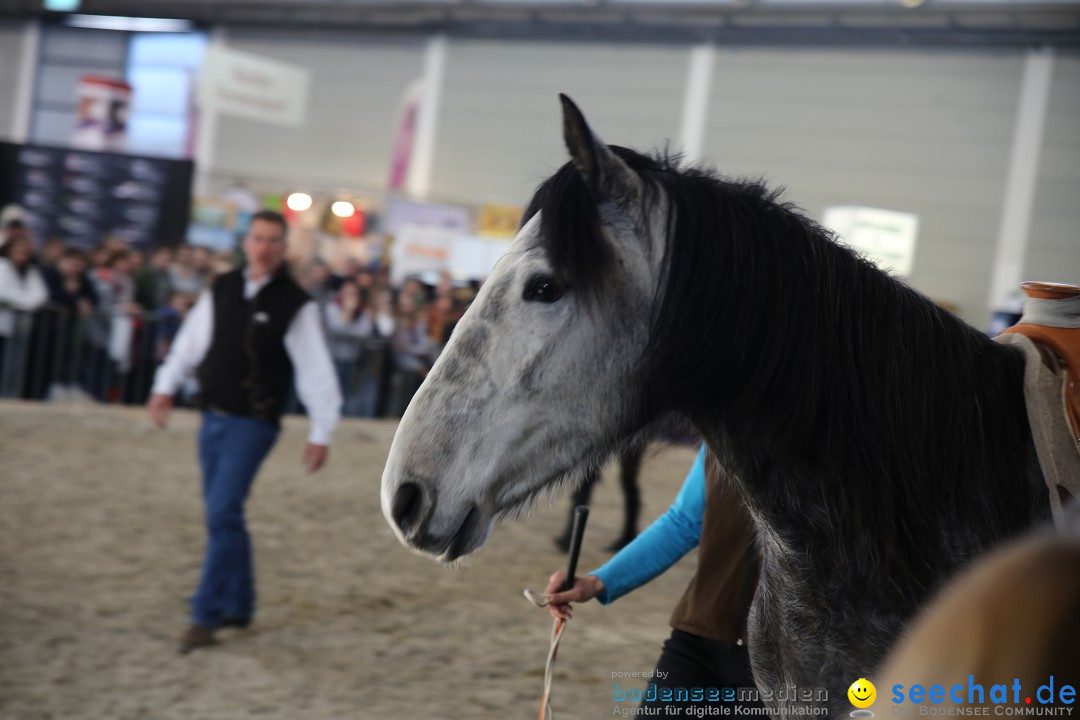 PFERD BODENSEE: Friedrichshafen am Bodensee, 13.02.2016