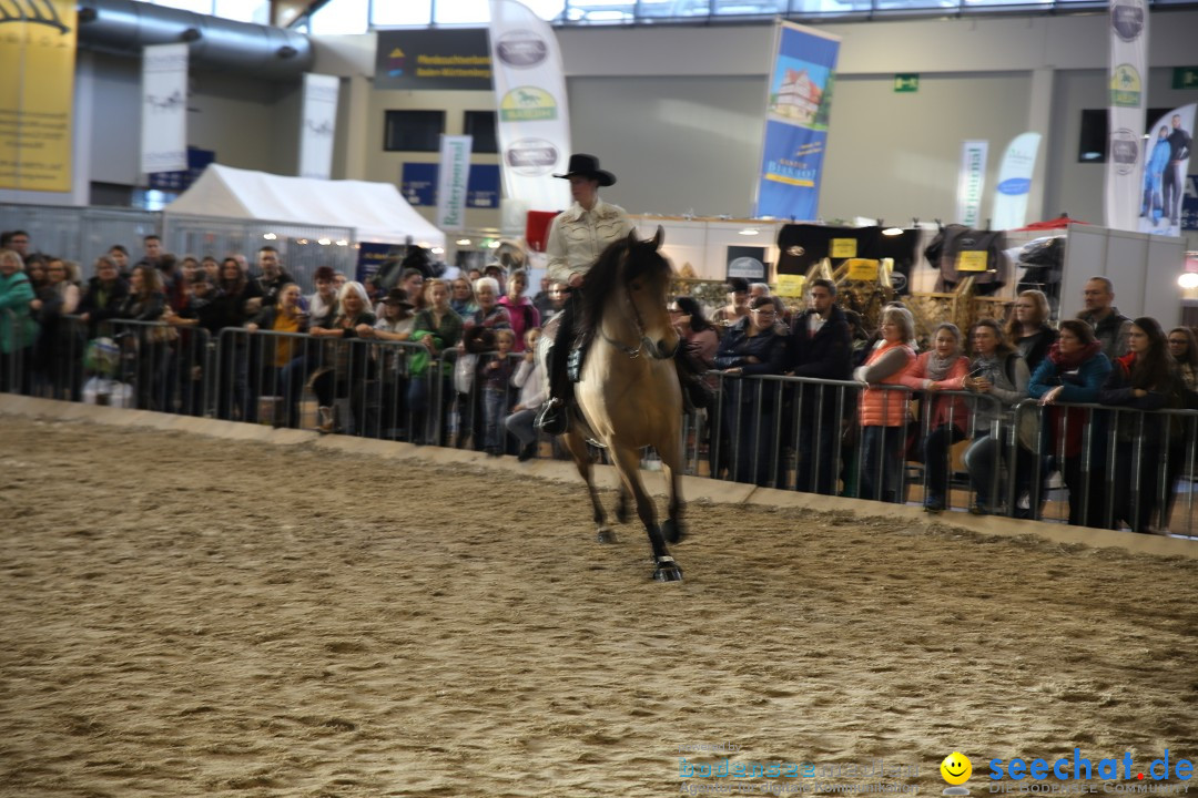 PFERD BODENSEE: Friedrichshafen am Bodensee, 13.02.2016