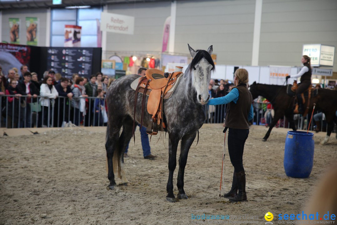 PFERD BODENSEE: Friedrichshafen am Bodensee, 13.02.2016