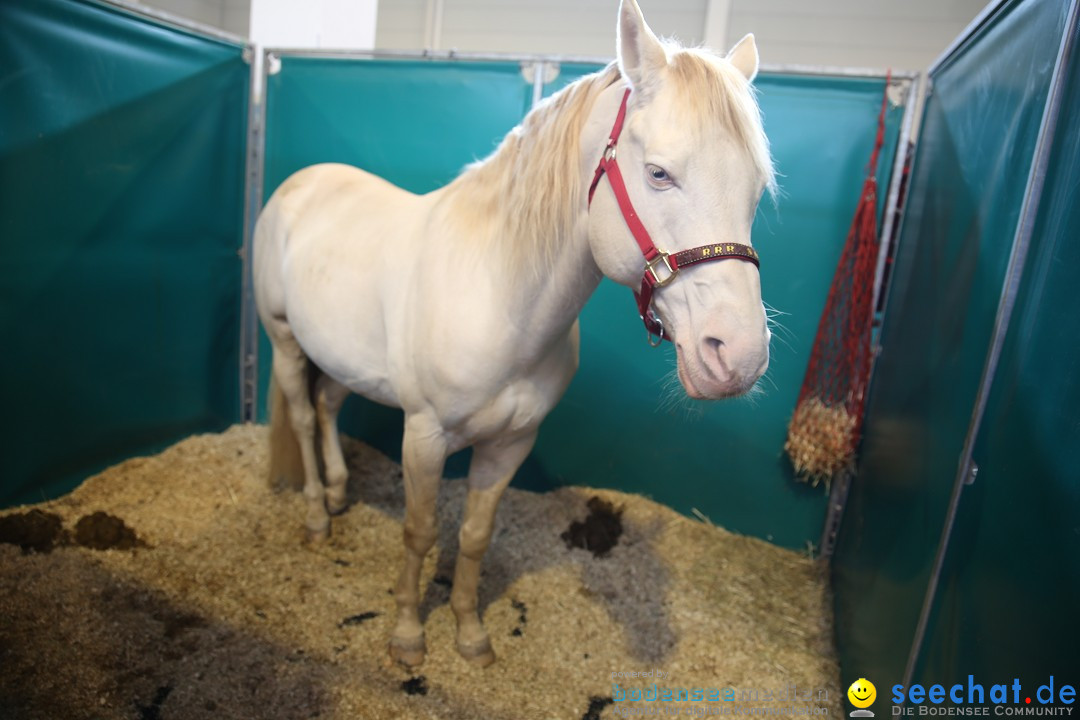 PFERD BODENSEE: Friedrichshafen am Bodensee, 13.02.2016