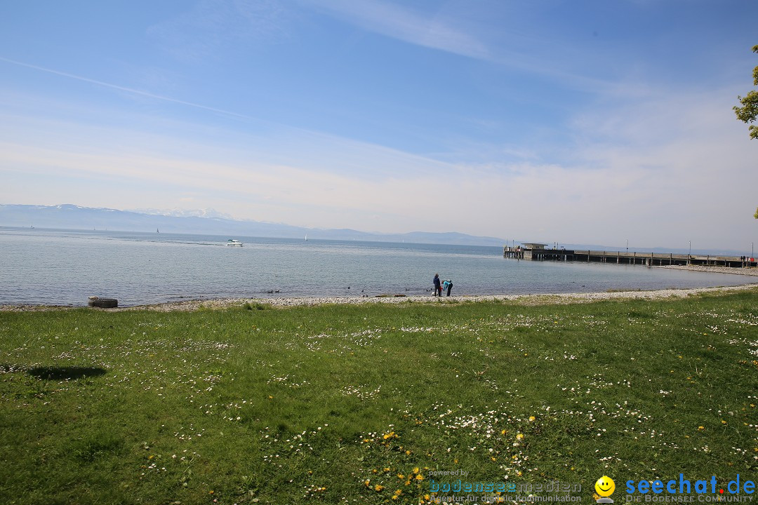 45. Internationale Flottensternfahrt: Bodensee - Bregenz, 30.04.2016
