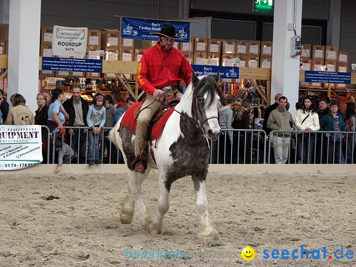 Pferd Bodensee 2008