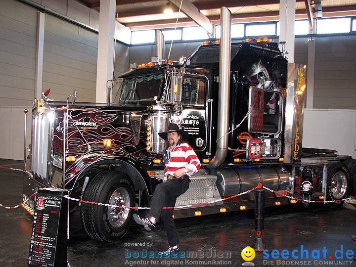 Pferd Bodensee 2008
