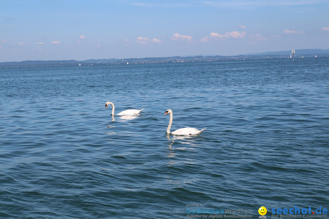 BODENSEEBOOT Breitenquerung, Hamza Bakircioglu: Friedrichshafen, 10.06.2016