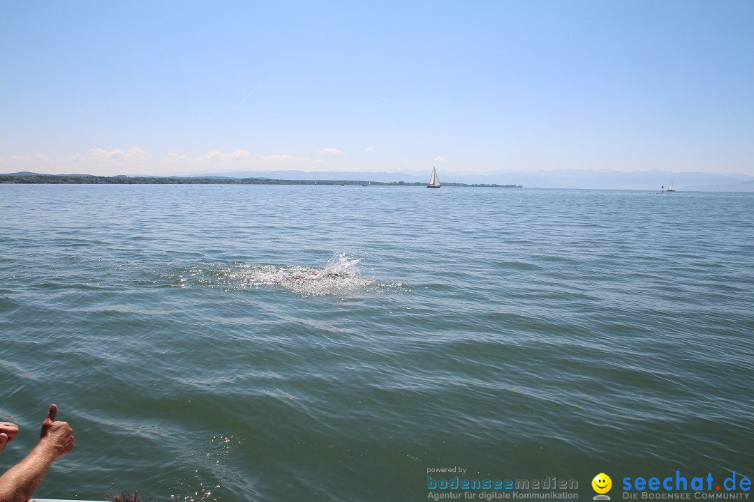 BODENSEEBOOT Breitenquerung, Hamza Bakircioglu: Friedrichshafen, 10.06.2016