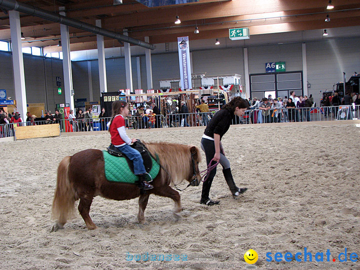 Pferd Bodensee 2008