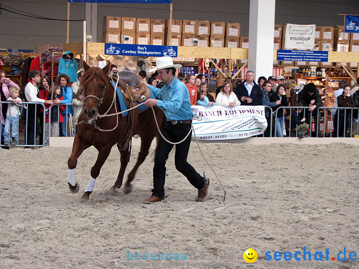 Pferd Bodensee 2008