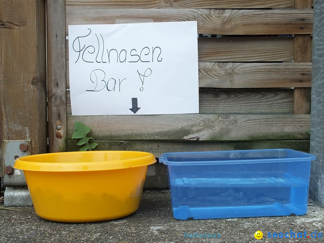 Hof-Flohmarkt in Kanzach, 10.07.2016