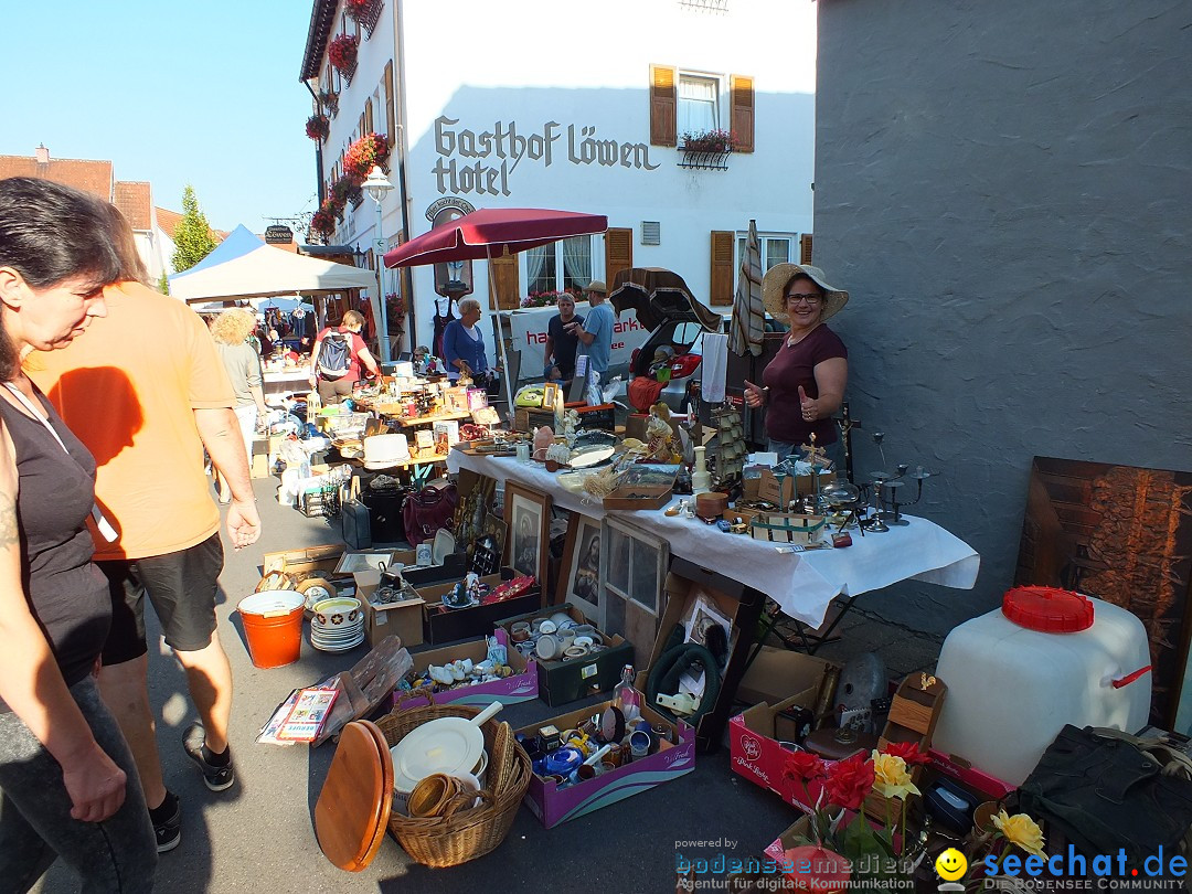 Herbstfest mit Flohmarkt: Bad Buchau, 27.08.2016