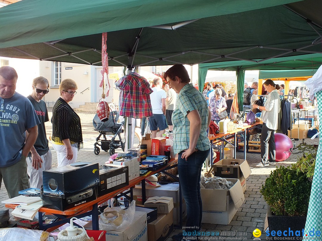 Herbstfest mit Flohmarkt: Bad Buchau, 27.08.2016