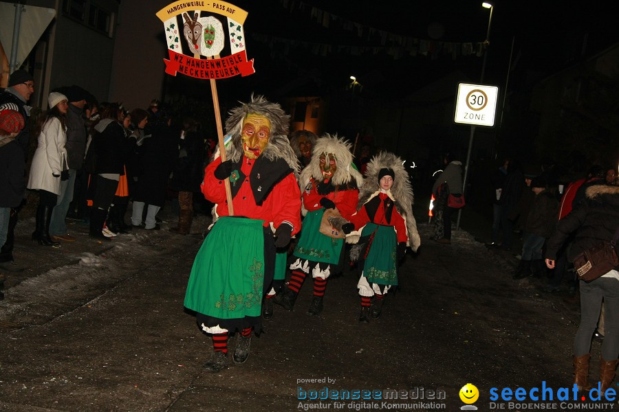 Nachtumzug - Weissenau bei Ravensburg, 16.01.2010