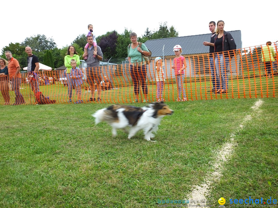 Struppirennen im Tierschutzverein: Bad-Saulgau, 04.09.2016