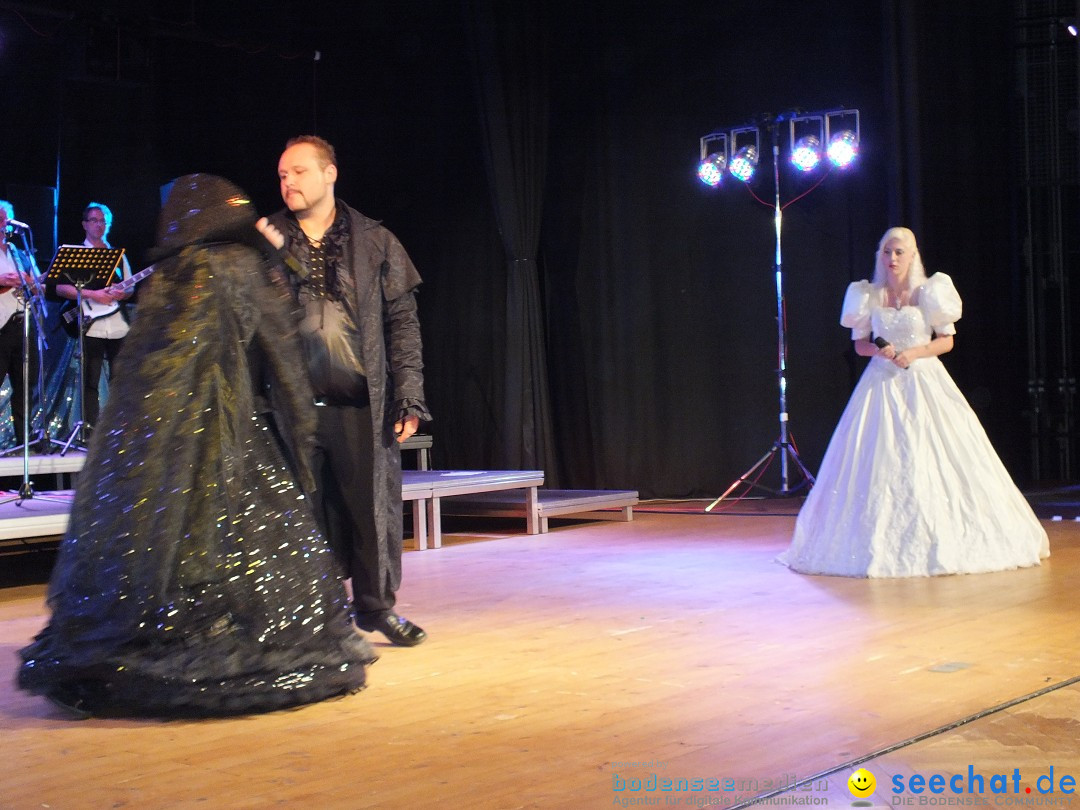 Inklusionsfest: Bad Buchau am Bodensee, 16.06.2016