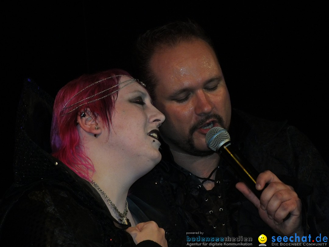 Inklusionsfest: Bad Buchau am Bodensee, 16.06.2016