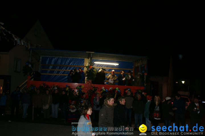 Narrentreffen und Narrenumzug 2010: Eigeltingen, 22.01.2010