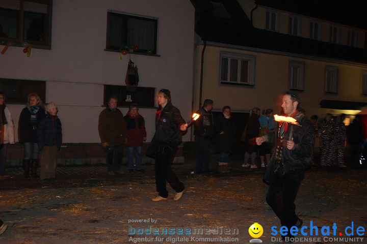 Narrentreffen und Narrenumzug 2010: Eigeltingen, 22.01.2010