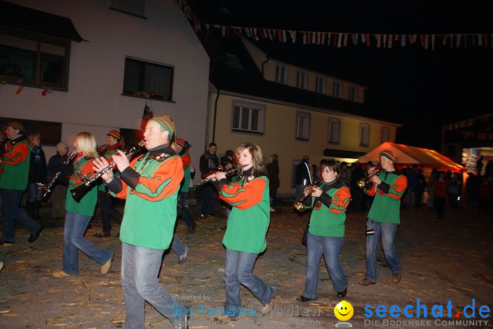 Narrentreffen und Narrenumzug 2010: Eigeltingen, 22.01.2010