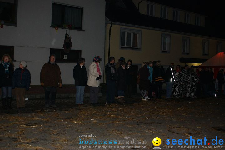 Narrentreffen und Narrenumzug 2010: Eigeltingen, 22.01.2010