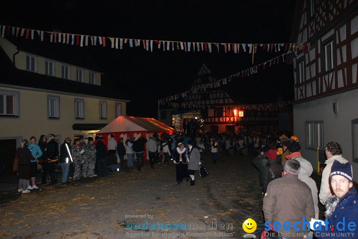 Narrentreffen und Narrenumzug 2010: Eigeltingen, 22.01.2010
