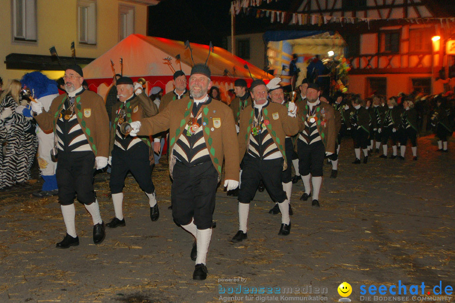 Narrentreffen in Eigeltingen, 22.01.2010