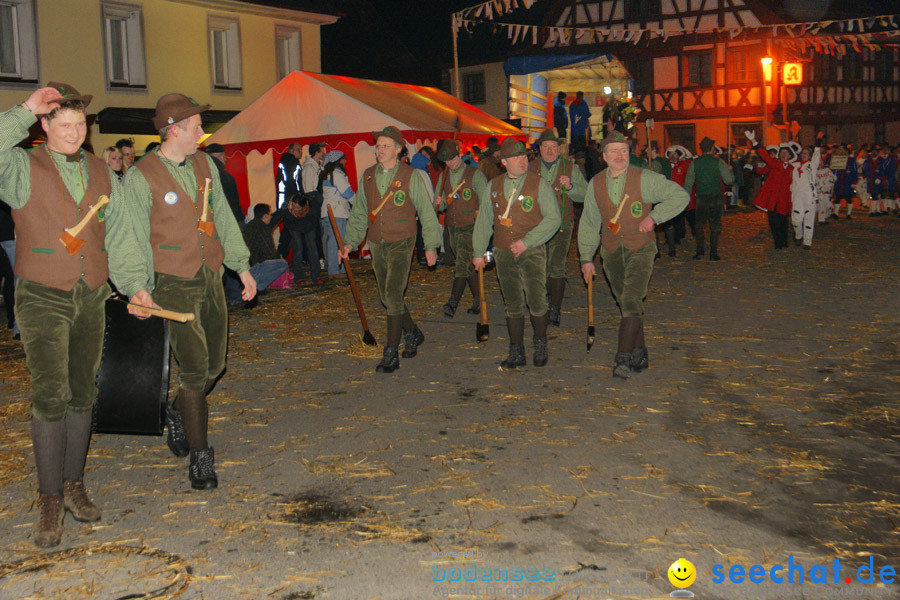 Narrentreffen in Eigeltingen, 22.01.2010