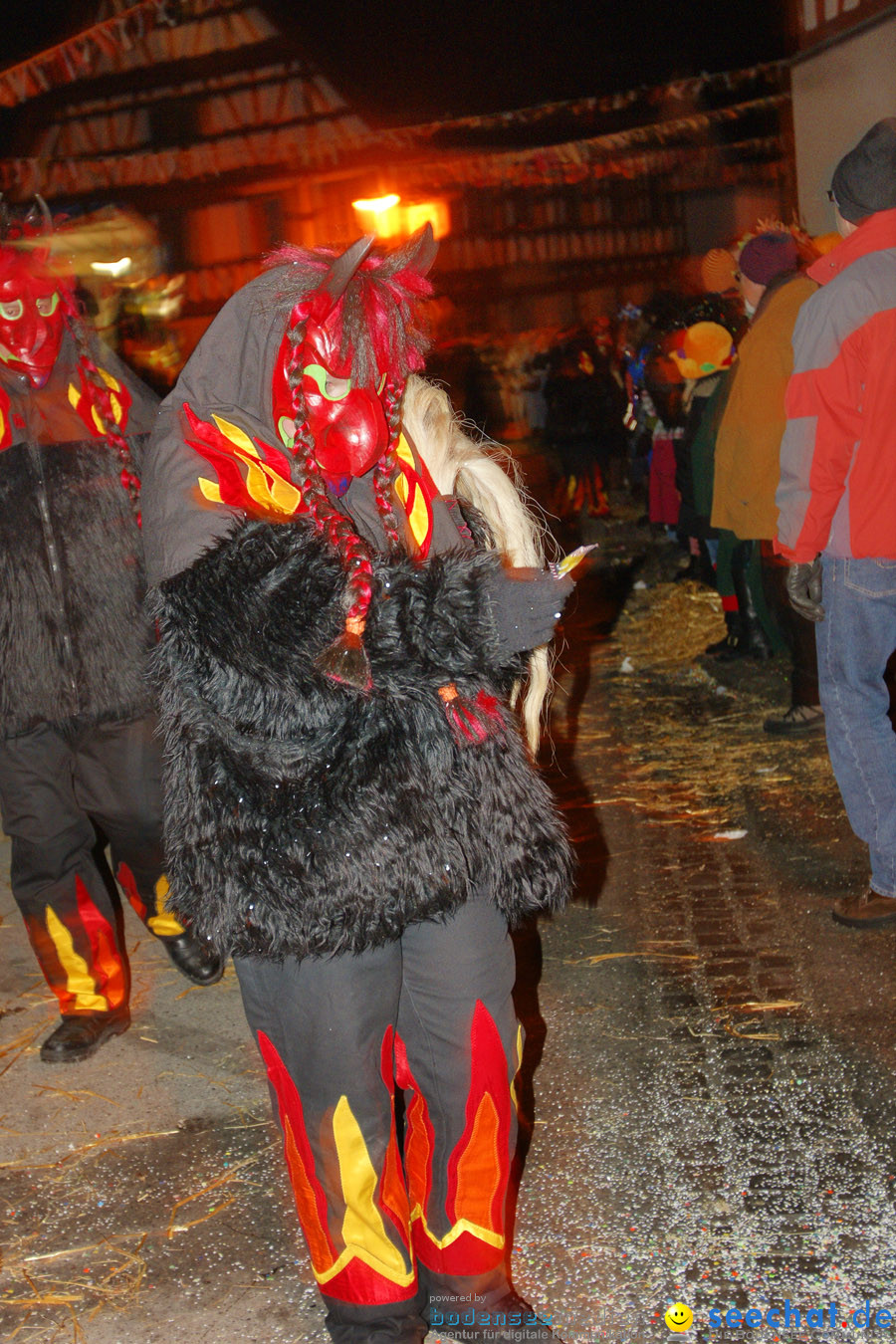 Narrentreffen in Eigeltingen, 22.01.2010