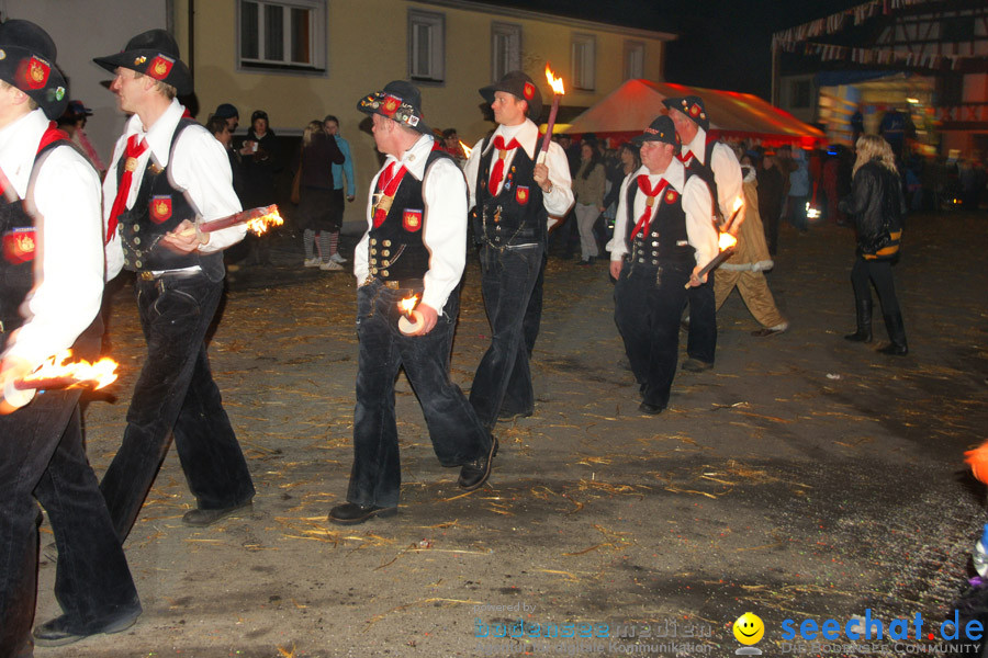 Narrentreffen in Eigeltingen, 22.01.2010