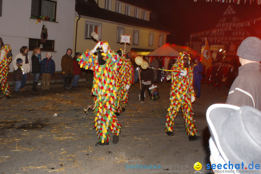 Narrentreffen in Eigeltingen, 22.01.2010
