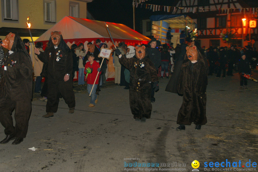Narrentreffen in Eigeltingen, 22.01.2010