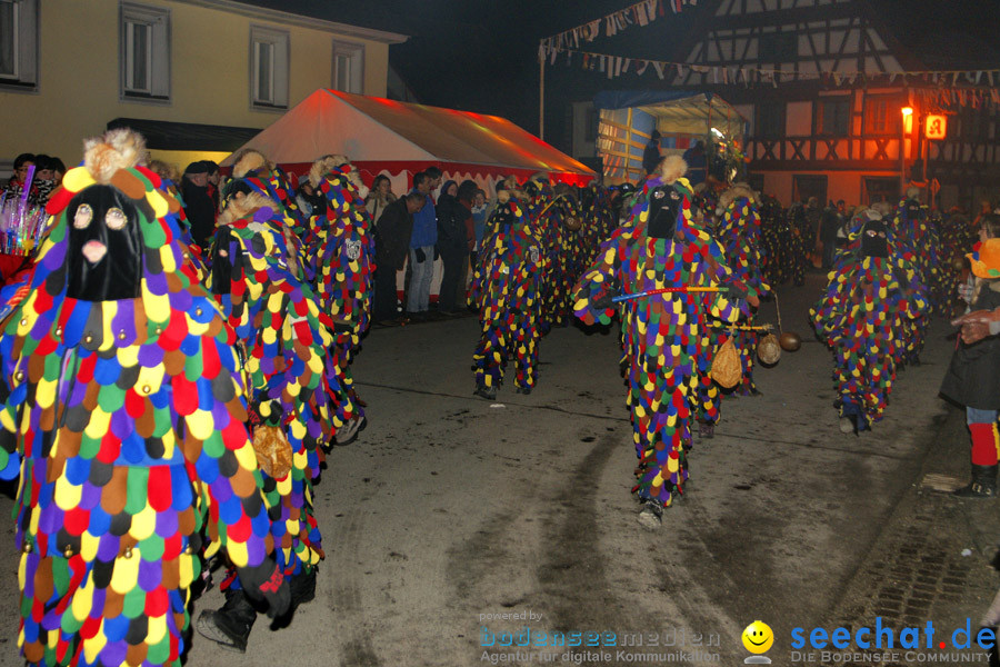 Narrentreffen in Eigeltingen, 22.01.2010