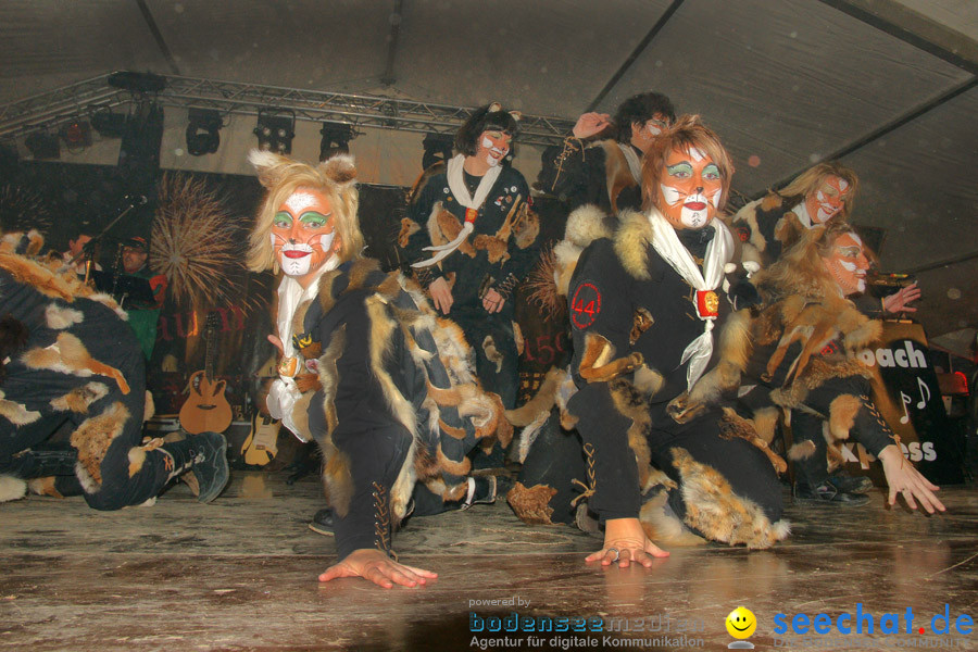 Narrentreffen in Eigeltingen, 22.01.2010