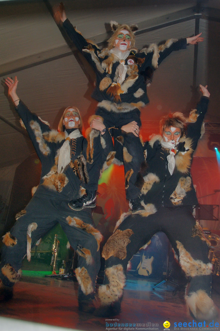 Narrentreffen in Eigeltingen, 22.01.2010