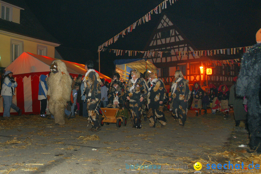 Narrentreffen in Eigeltingen, 22.01.2010