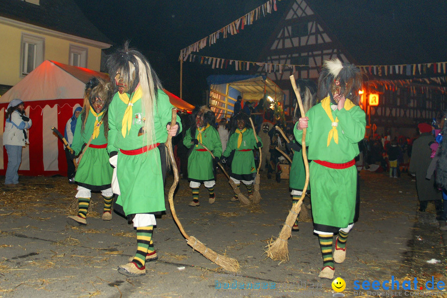 Narrentreffen in Eigeltingen, 22.01.2010