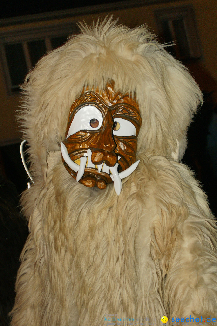 Narrentreffen in Eigeltingen, 22.01.2010