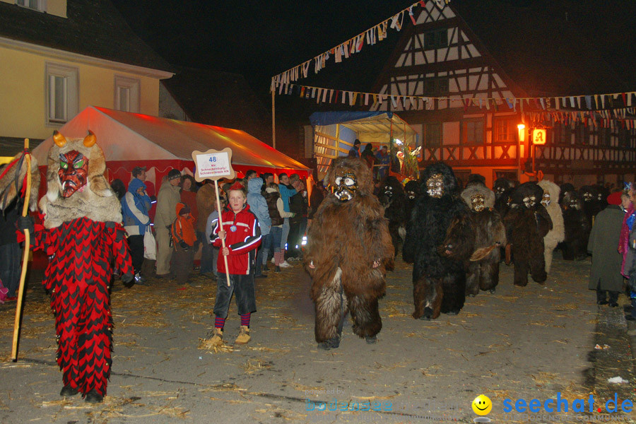 Narrentreffen in Eigeltingen, 22.01.2010