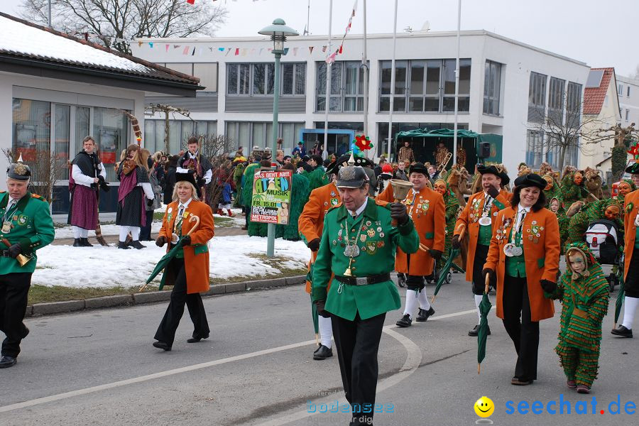 Faschingsumzug: Oberteuringen, 23.01.2010