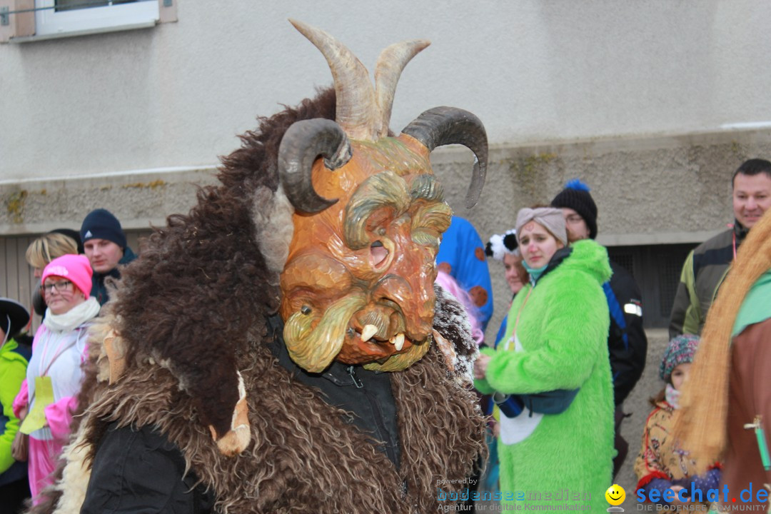 Jubil_umsUmzugDreizipfelritter-Gro_sch_nach-08-01-2017-Bodensee-Community-SEECHAT_de-IMG_3451.JPG