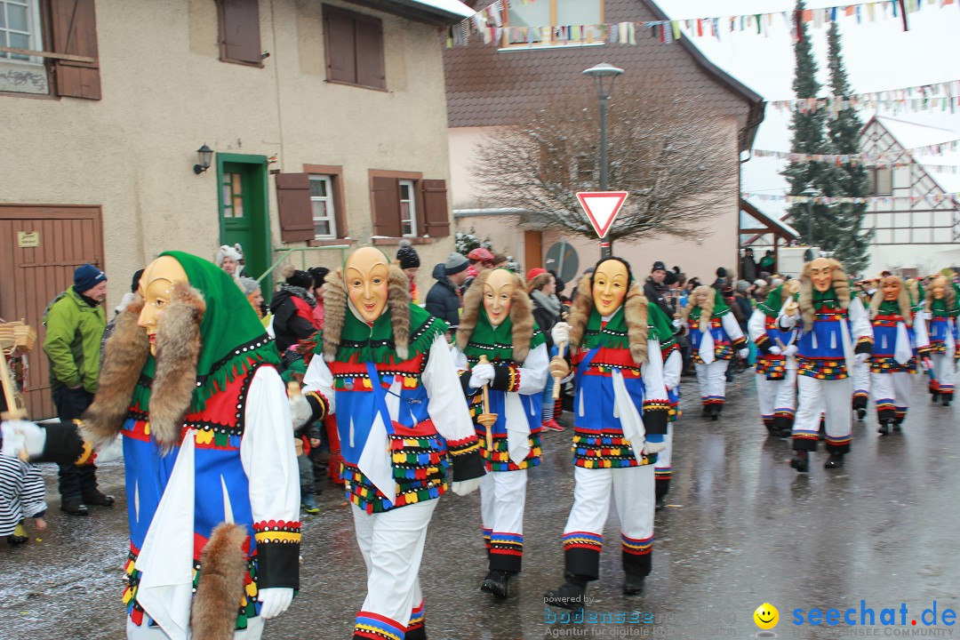 Jubil_umsUmzugDreizipfelritter-Gro_sch_nach-08-01-2017-Bodensee-Community-SEECHAT_de-IMG_3492.JPG
