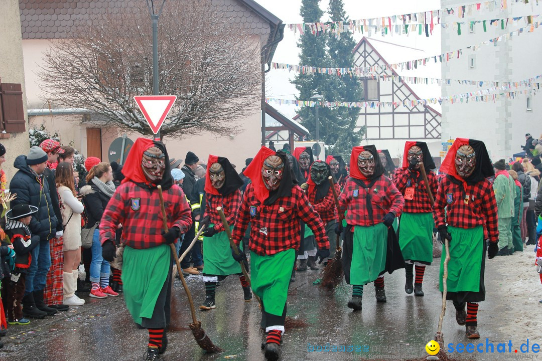Jubil_umsUmzugDreizipfelritter-Gro_sch_nach-08-01-2017-Bodensee-Community-SEECHAT_de-IMG_3499.JPG