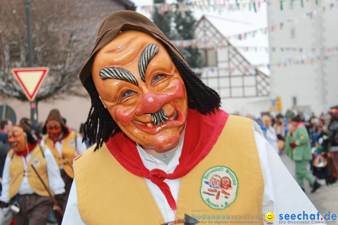 Jubil_umsUmzugDreizipfelritter-Gro_sch_nach-08-01-2017-Bodensee-Community-SEECHAT_de-IMG_3502.JPG