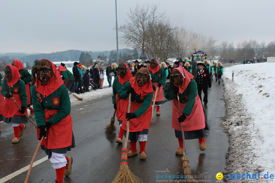Jubil_umsUmzugDreizipfelritter-Gro_sch_nach-08-01-2017-Bodensee-Community-SEECHAT_de-IMG_3556.JPG
