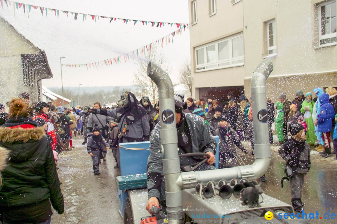 Jubil_umsUmzugDreizipfelritter-Gro_sch_nach-08-01-2017-Bodensee-Community-SEECHAT_de-IMG_3583.JPG