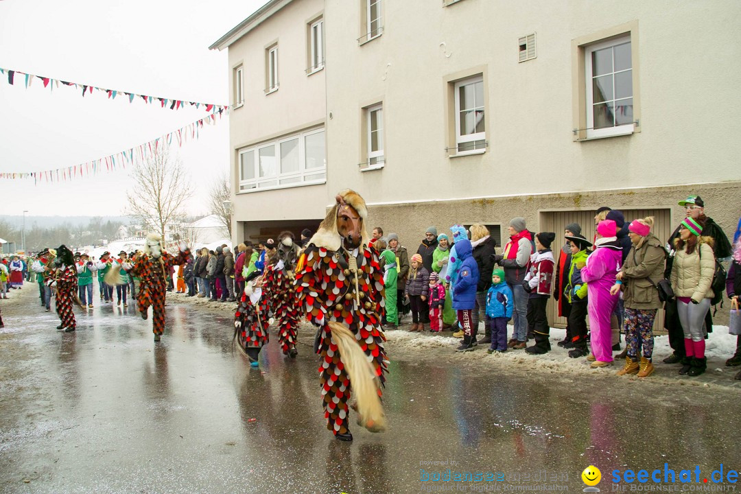 Jubil_umsUmzugDreizipfelritter-Gro_sch_nach-08-01-2017-Bodensee-Community-SEECHAT_de-SDIM0385.jpg