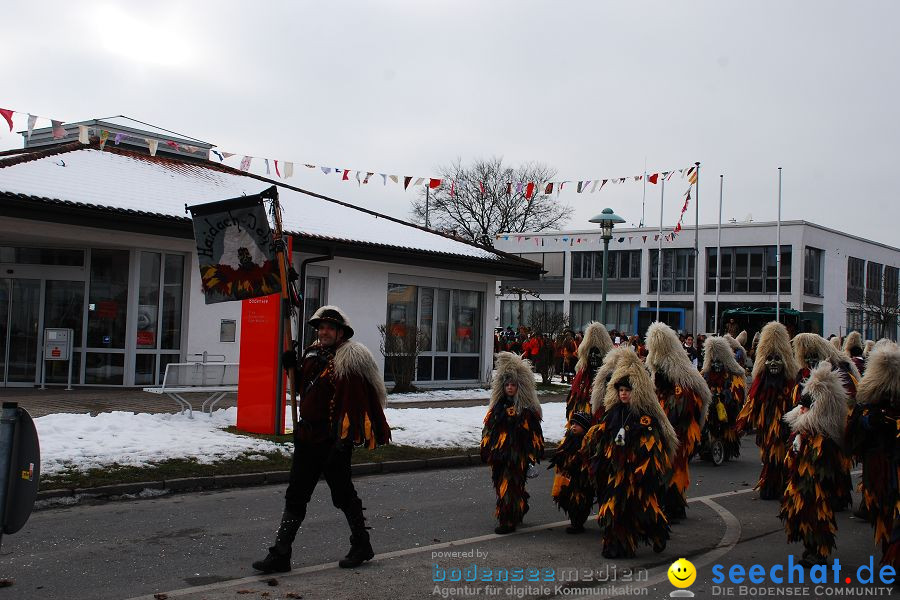 Faschingsumzug: Oberteuringen, 23.01.2010