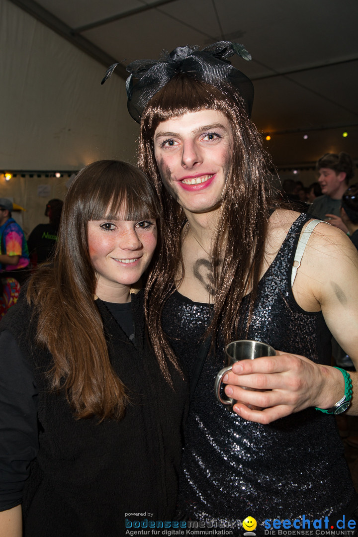 MegaElevenParty Vol.8 - Narrenverein: Bierstetten, 14.01.2017