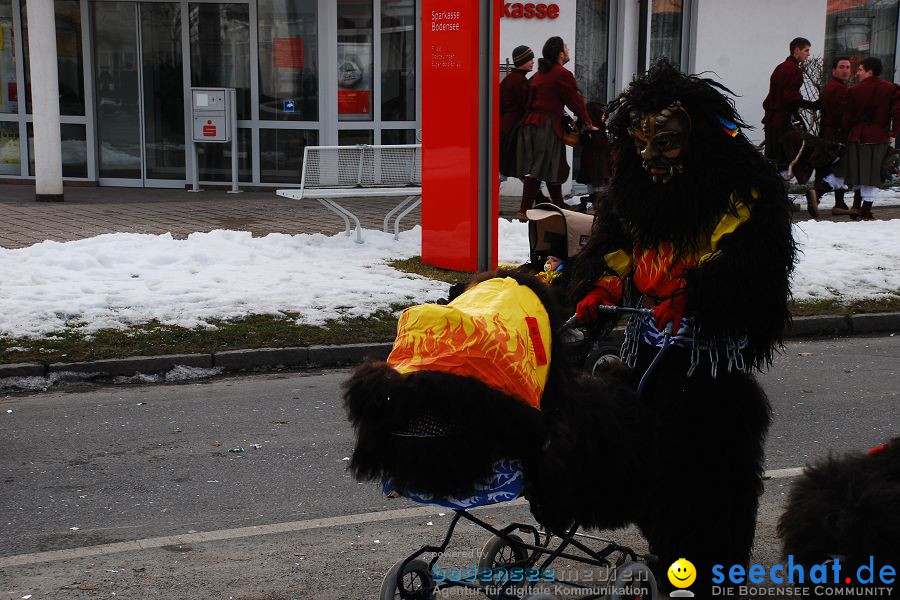 Faschingsumzug: Oberteuringen, 23.01.2010