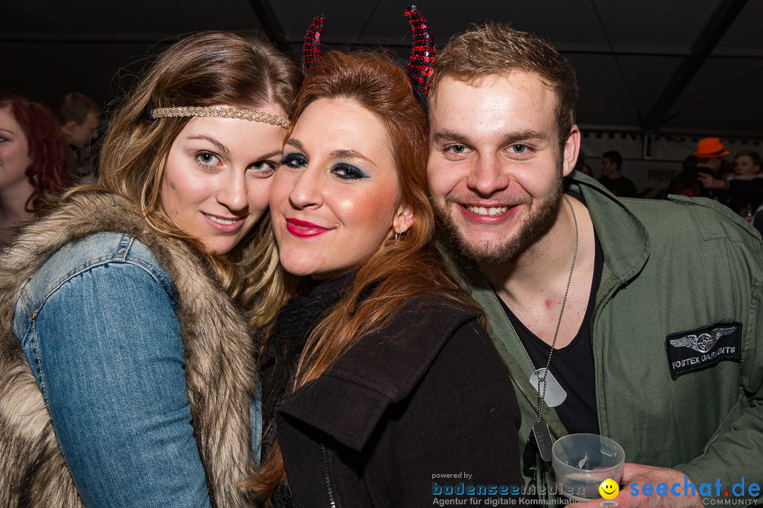 MegaElevenParty Vol.8 - Narrenverein: Bierstetten, 14.01.2017