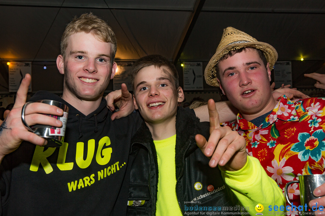 MegaElevenParty Vol.8 - Narrenverein: Bierstetten, 14.01.2017