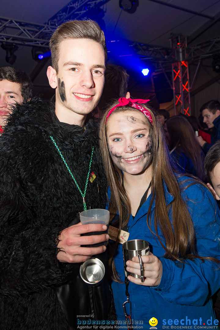 MegaElevenParty Vol.8 - Narrenverein: Bierstetten, 14.01.2017